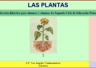 Las plantas | Recurso educativo 34595