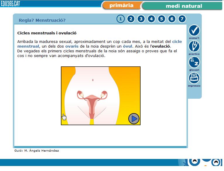 La menstruació | Recurso educativo 35873