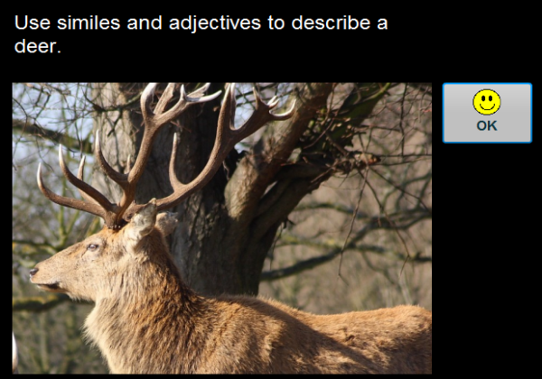 Describing a red deer | Recurso educativo 42494