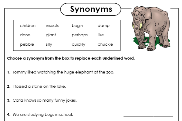 Synonyms | Recurso educativo 42841