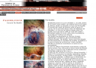 Cueva de Tito Bustillo | Recurso educativo 43208