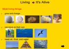 Living and non-living | Recurso educativo 45471