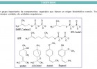 Els terpens | Recurso educativo 46631