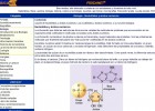 Estructura d'un nucleòtid | Recurso educativo 49085