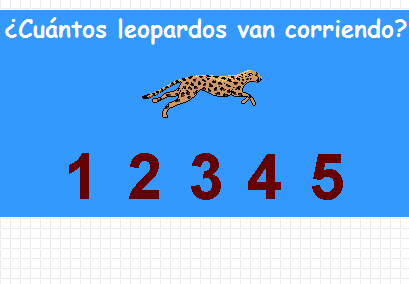 Matemáticas en línea: leopardo | Recurso educativo 49480