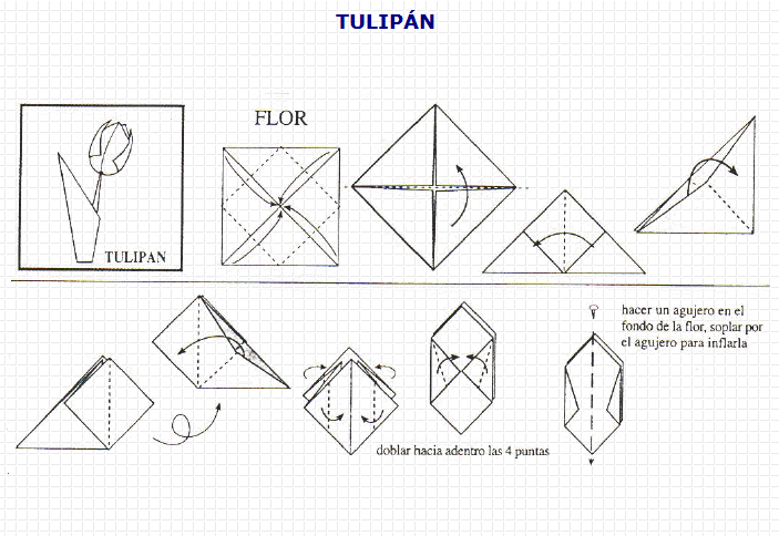 Origami: tulipán | Recurso educativo 49722