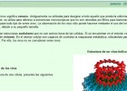 Los virus | Recurso educativo 49761