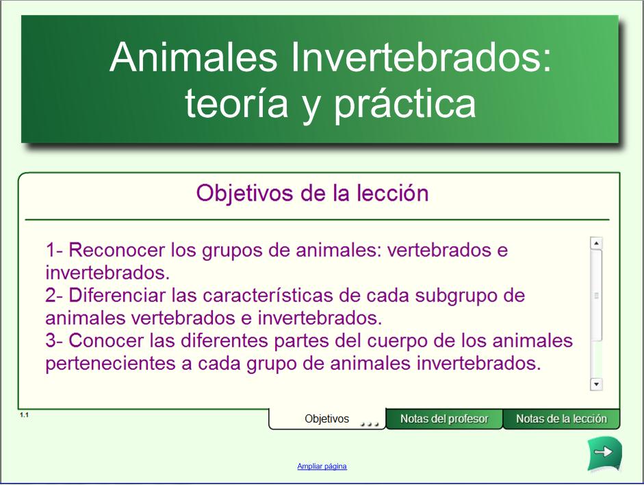 Los animales invertebrados: Teoría y práctica | Recurso educativo 50743