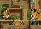 Puzzle interactivo: tigre | Recurso educativo 50816