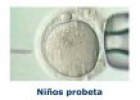 Fecundación in vitro | Recurso educativo 53579