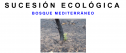 Sucesión bosque mediterráneo | Recurso educativo 15701