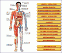 El cos humà | Recurso educativo 19609