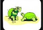 Il·lustració: imatge de dues tortugues parlant | Recurso educativo 20255