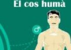 El jarabe de los idiomas: El cuerpo humano | Recurso educativo 29031