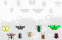 Ara y Belbo: asociar insectos | Recurso educativo 29534
