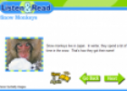 Snow monkeys | Recurso educativo 31888