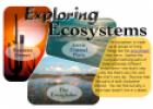 Exploring ecosystems | Recurso educativo 67265