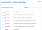 Amazing body terms: Matching | Recurso educativo 69895