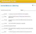 Animal behavior: Matching | Recurso educativo 69913