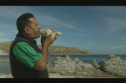Whale watching and indigenous people of Kaikoura | Recurso educativo 70075