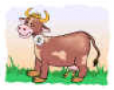 Centro de interés: El Buey, el Toro y la Vaca | Recurso educativo 70765