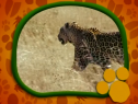 El Maravilloso Mundo de los Animales: Los Leopardos | Recurso educativo 70857