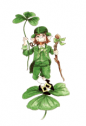 St. Patrick's day symbols | Recurso educativo 71262