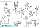 Gymnastics | Recurso educativo 77208