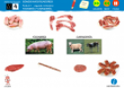 Somos investigadores: Tocinería y carnicería | Recurso educativo 79299