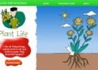 How plants make food. Photosynthesis | Recurso educativo 80900