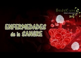 Enfermedades de la sangre | Recurso educativo 105808