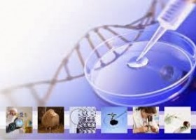 adn-dna: 357- Biologia en context: interpretació d'un procés de | Recurso educativo 115617