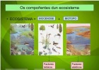Os ecosistemas | Recurso educativo 686511