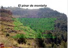 Ecosistemas Madrileños | Recurso educativo 688761