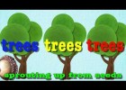 Parts of the tree: 'Head, shoulders, knees and toes' for trees! | Recurso educativo 688767