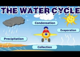 The Water Cycle: Collection, Condensation, Precipitation, Evaporation, | Recurso educativo 724826