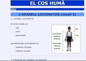 Aparell locomotor | Recurso educativo 727086