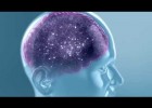 TDAH y el cerebro | Recurso educativo 731238