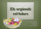 Orgànuls cel·lulars - Documents | Recurso educativo 740321