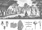 The Encyclopédie  of Diderot & d'Alembert. | Recurso educativo 741254