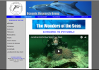 The Wonders of the Seas: Echinoderms | Recurso educativo 742020