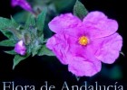 Flora de Andalucía | Recurso educativo 746553