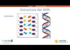 L'estructura de l'ADN | Recurso educativo 746817