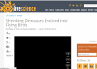 Shrinking Dinosaurs Evolved into Flying Birds | Recurso educativo 750628