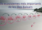 Els ecosistemes més importants de les Illes Balears | Recurso educativo 750822