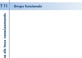 T. 11 Grups funcionals | Recurso educativo 752838