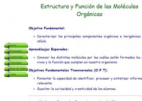 Estructura i funció de les molècules orgàniques | Recurso educativo 754694