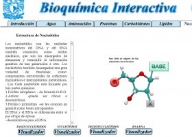 Estructura de los nucleótidos | Recurso educativo 755510