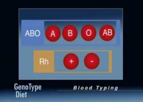 Dieta Genotipo: Determinando el Grupo Sanguíneo | Recurso educativo 756026