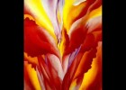 Georgia O'Keeffe: Flowers | Recurso educativo 771574